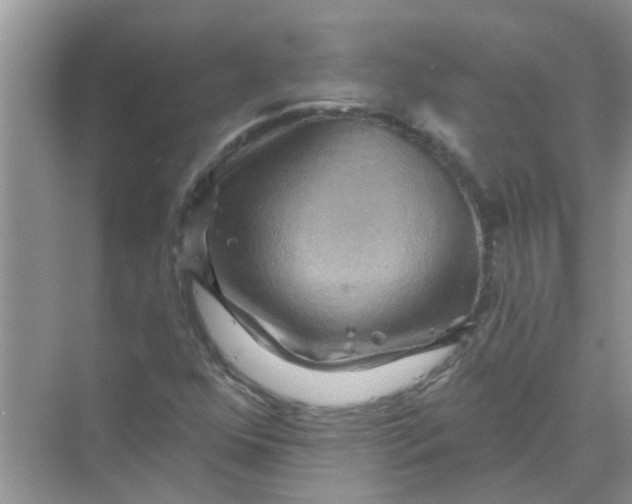 X0000069791352200606091732