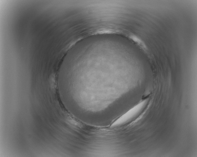 X0000069791353200606091732