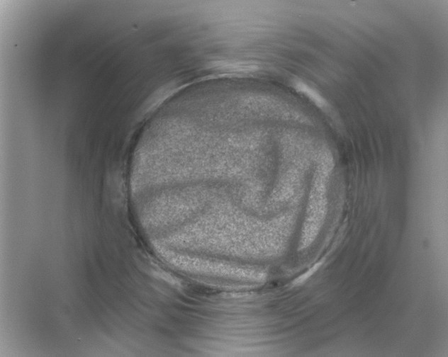 X0000069791354200606091732