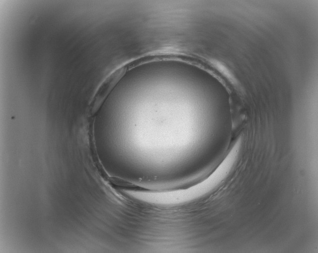 X0000069791356200606091732