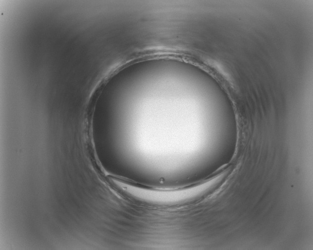 X0000069791357200606091732