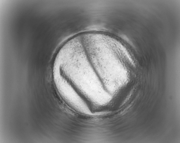 X0000069791358200606091732