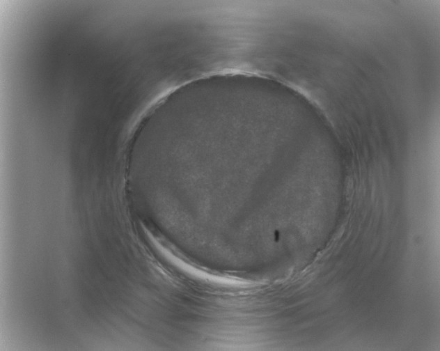 X0000069791359200606091732