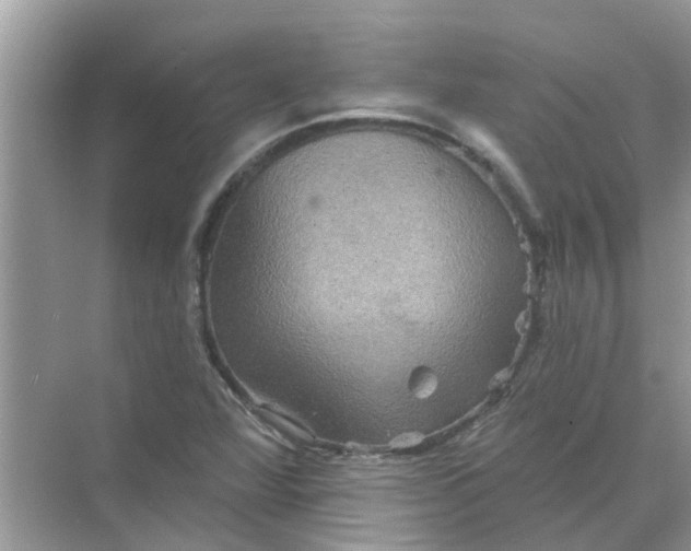 X0000069791360200606091732