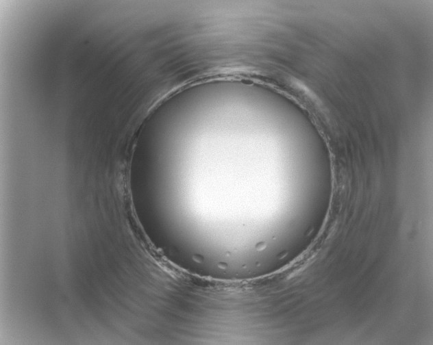 X0000069791361200606091732