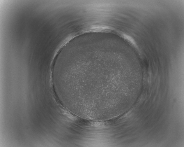 X0000069791362200606091732