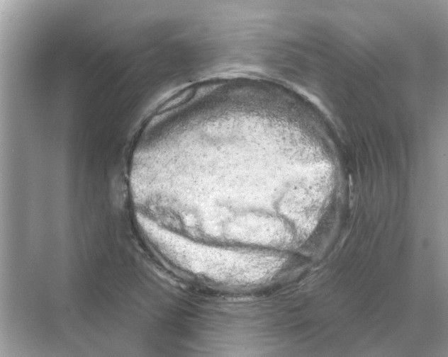 X0000069791363200606091732