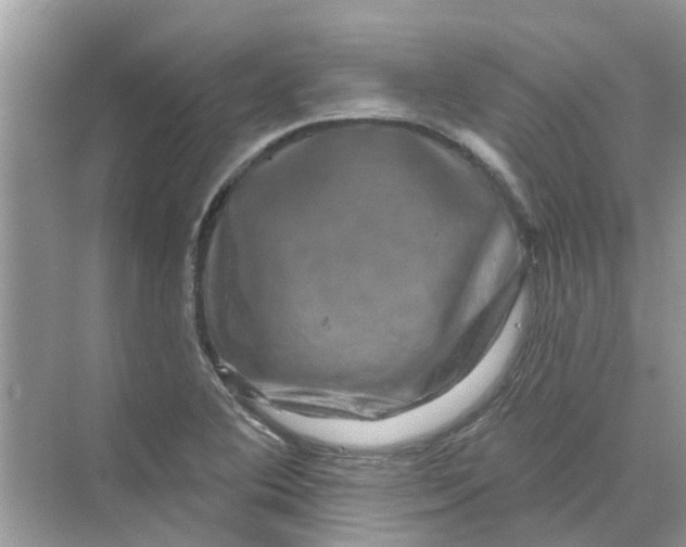 X0000069791364200606091732