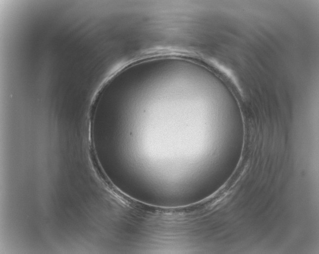 X0000069791365200606091732