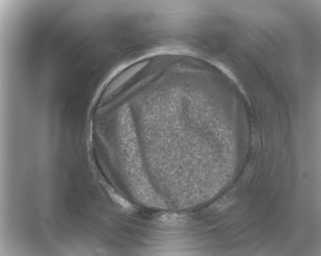 X0000069791366200606091732