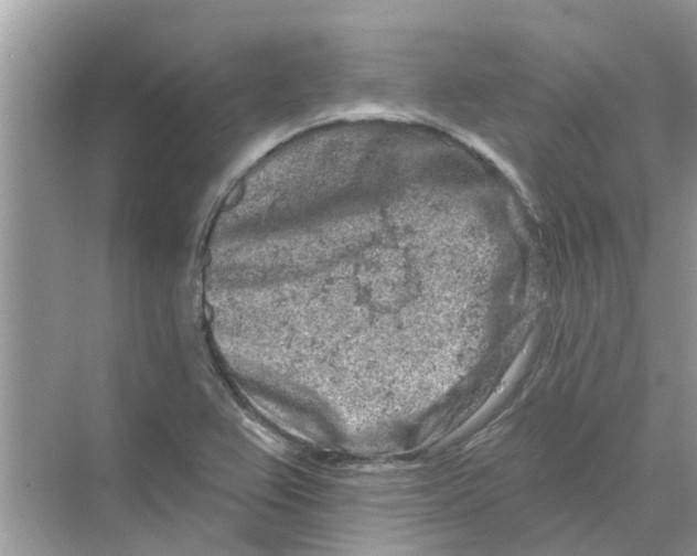 X0000069791367200606091732