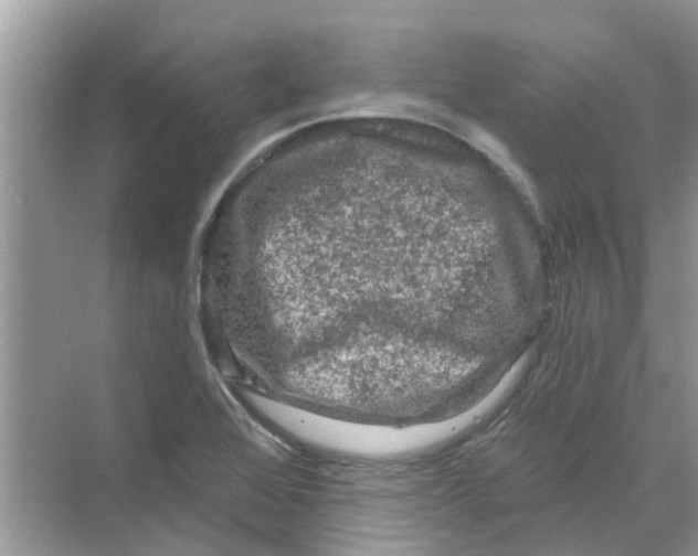 X0000069791368200606091732