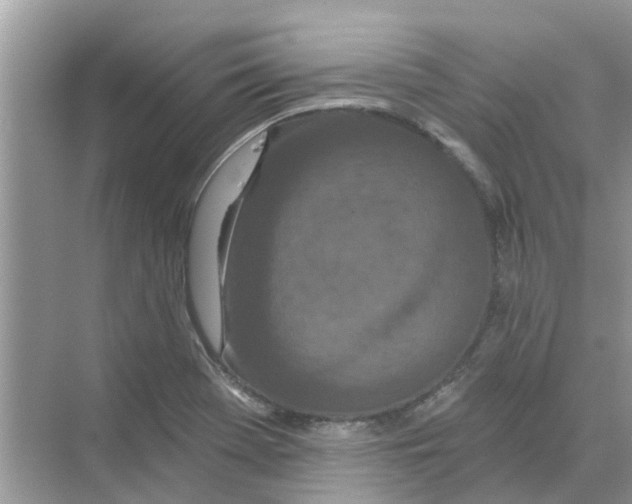 X0000069791369200606091732