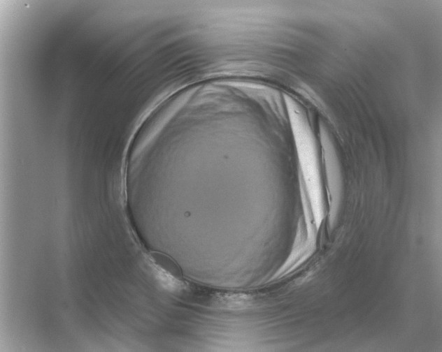 X0000069791370200606091732