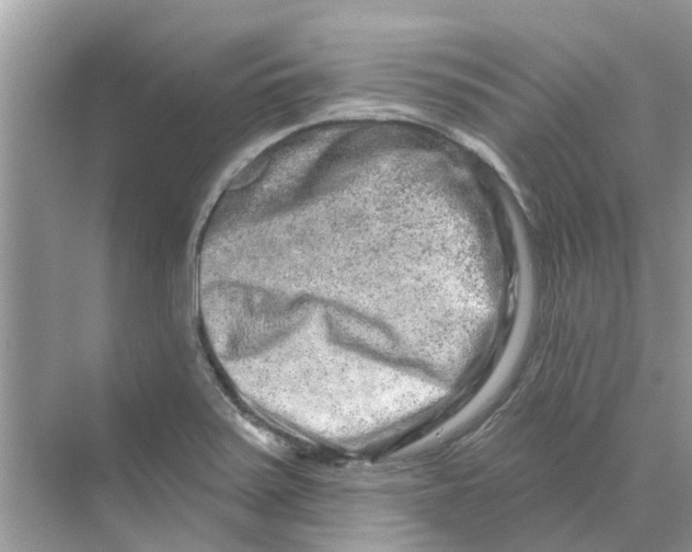 X0000069791371200606091732