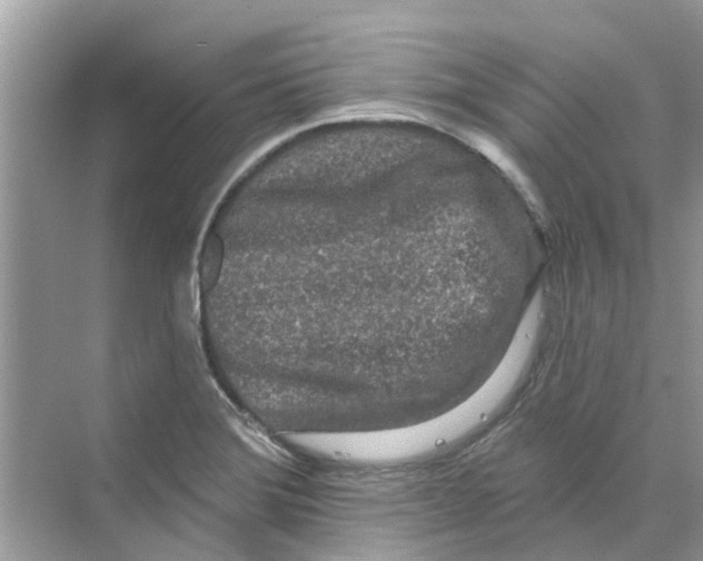 X0000069791372200606091732