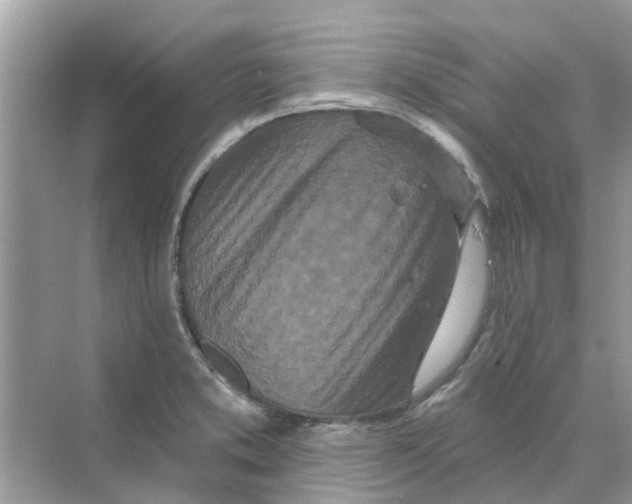 X0000069791373200606091732