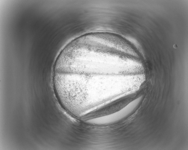 X0000069791374200606091732