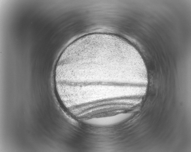 X0000069791375200606091732