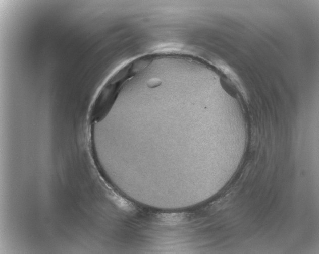 X0000069791376200606091732