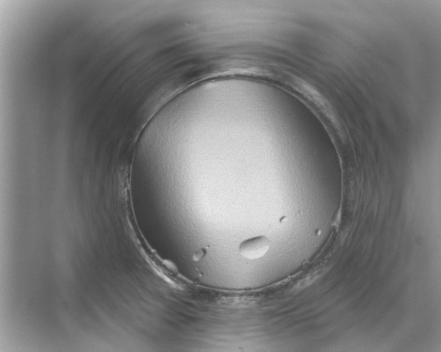 X0000069791377200606091732