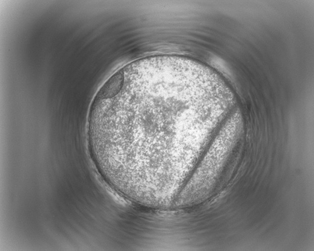 X0000069791378200606091732