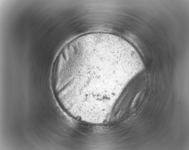 X0000069791379200606091732