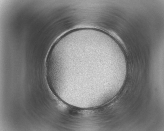 X0000069791380200606091732