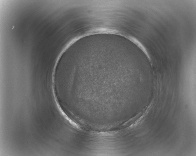 X0000069791381200606091732