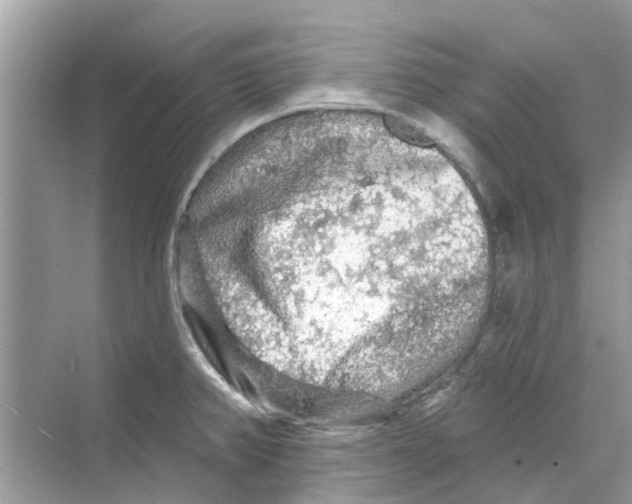 X0000069791382200606091732