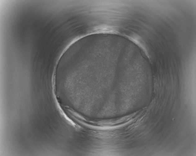 X0000069791383200606091732