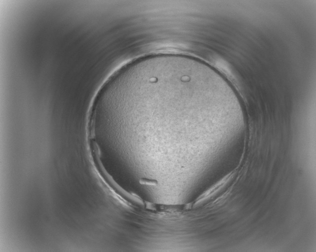 X0000069791384200606091732