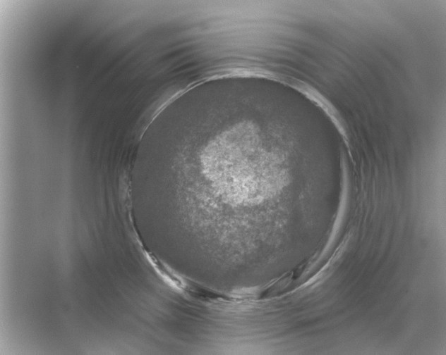 X0000069791385200606091732