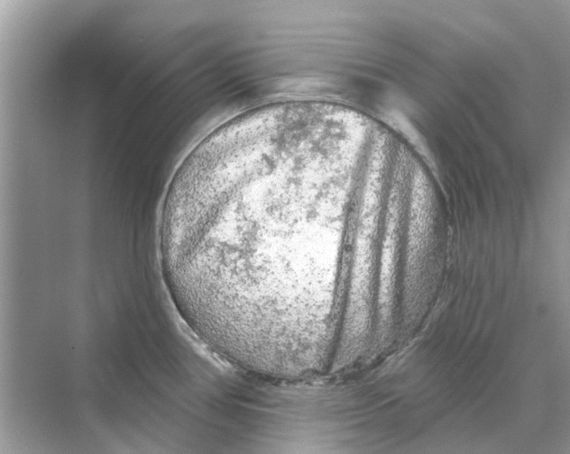 X0000069791386200606091732