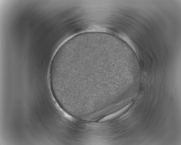 X0000069791387200606091732