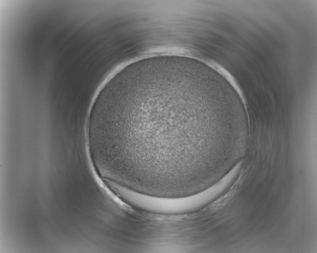 X0000069791389200606091732