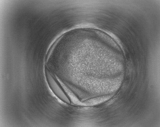 X0000069791390200606091731