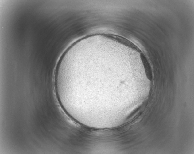 X0000069791392200606091731