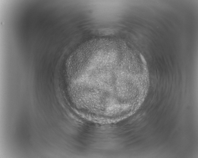 X0000069791393200606091731