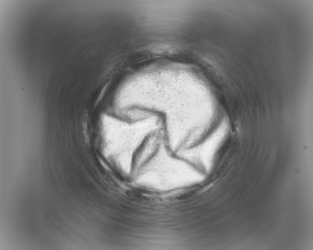 X0000069791396200606091731