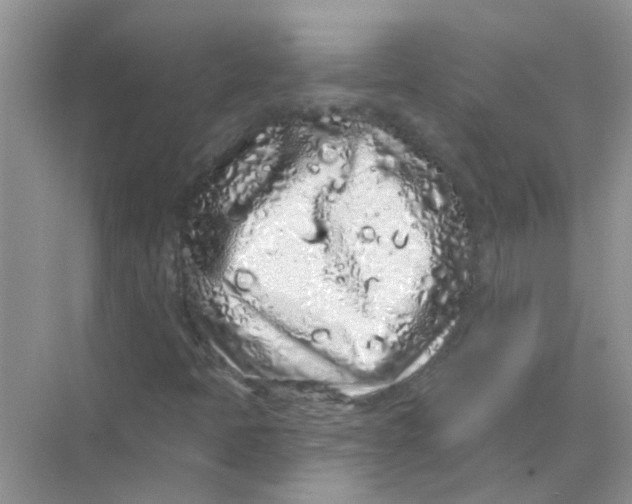 X0000069791397200606091731