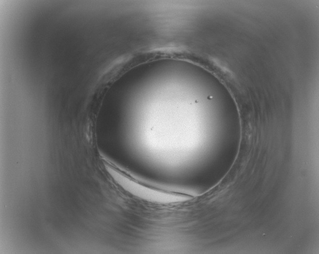 X0000069791398200606091731