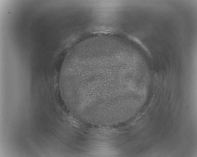 X0000069791399200606091731