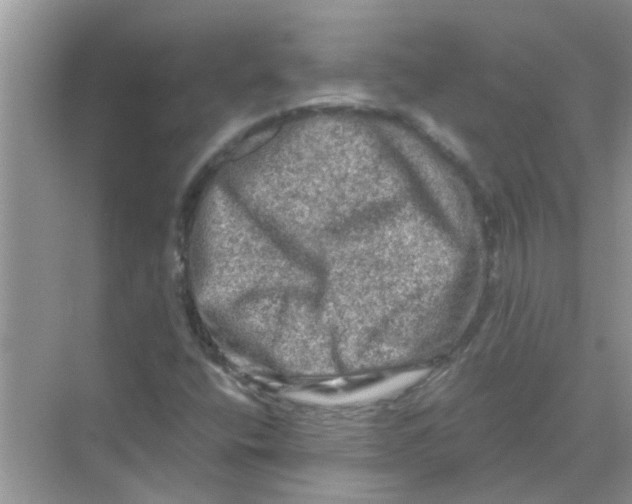 X0000069791400200606091731