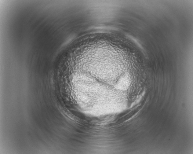 X0000069791403200606091731