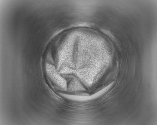 X0000069791404200606091731