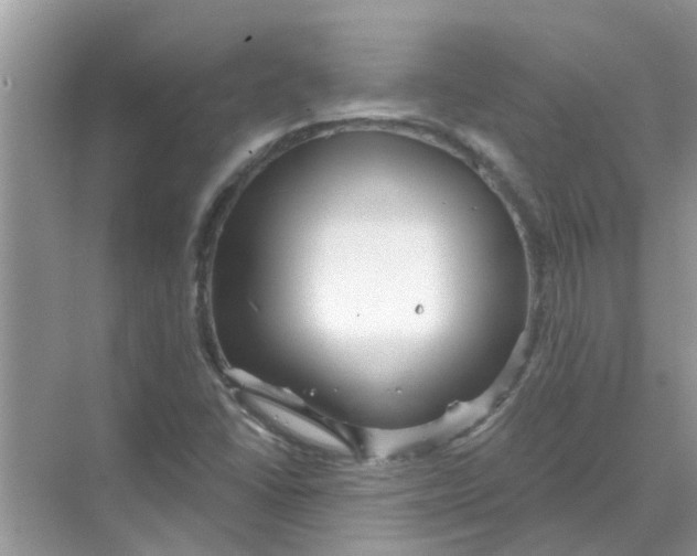 X0000069791406200606091731