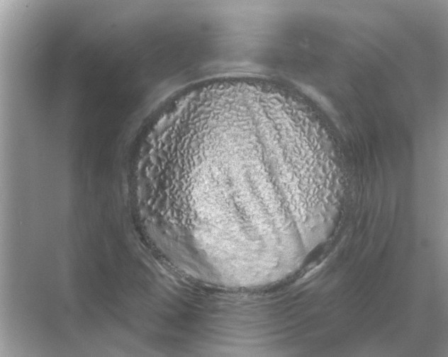 X0000069791407200606091731