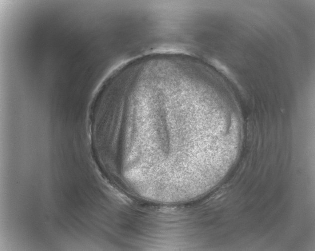 X0000069791408200606091731