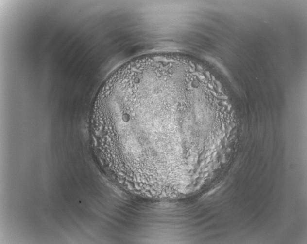 X0000069791409200606091731